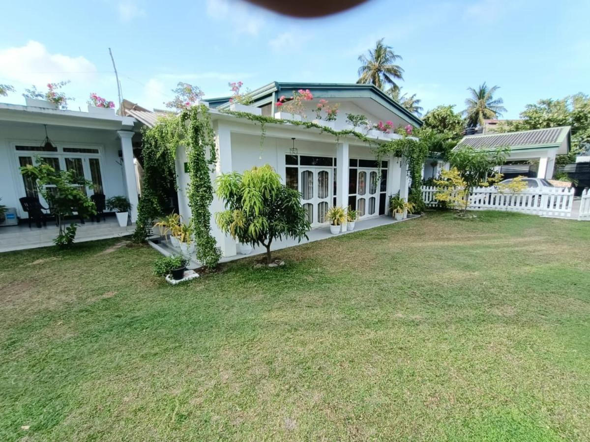 The Bamboo Tree Transit Hotel كاتوناياكى المظهر الخارجي الصورة