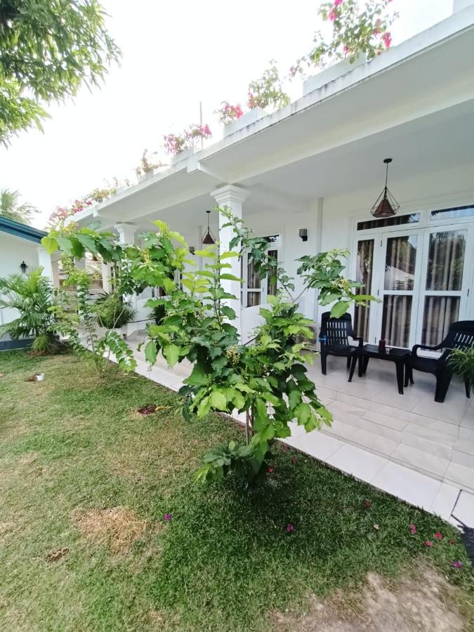 The Bamboo Tree Transit Hotel كاتوناياكى المظهر الخارجي الصورة