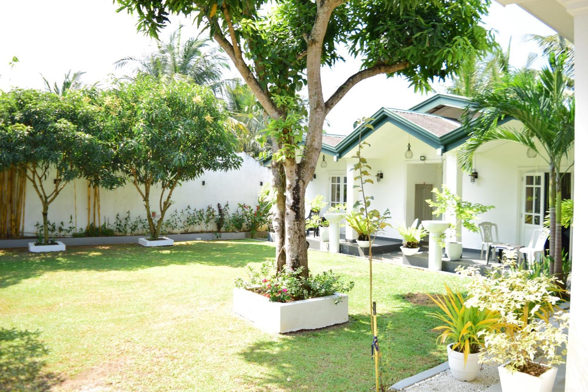 The Bamboo Tree Transit Hotel كاتوناياكى المظهر الخارجي الصورة