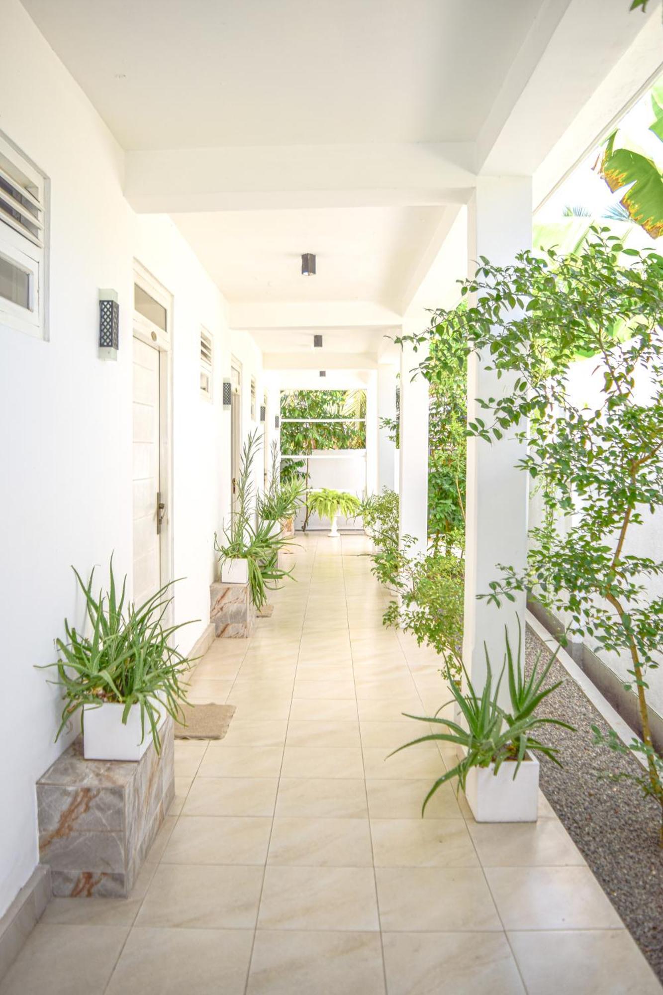 The Bamboo Tree Transit Hotel كاتوناياكى المظهر الخارجي الصورة