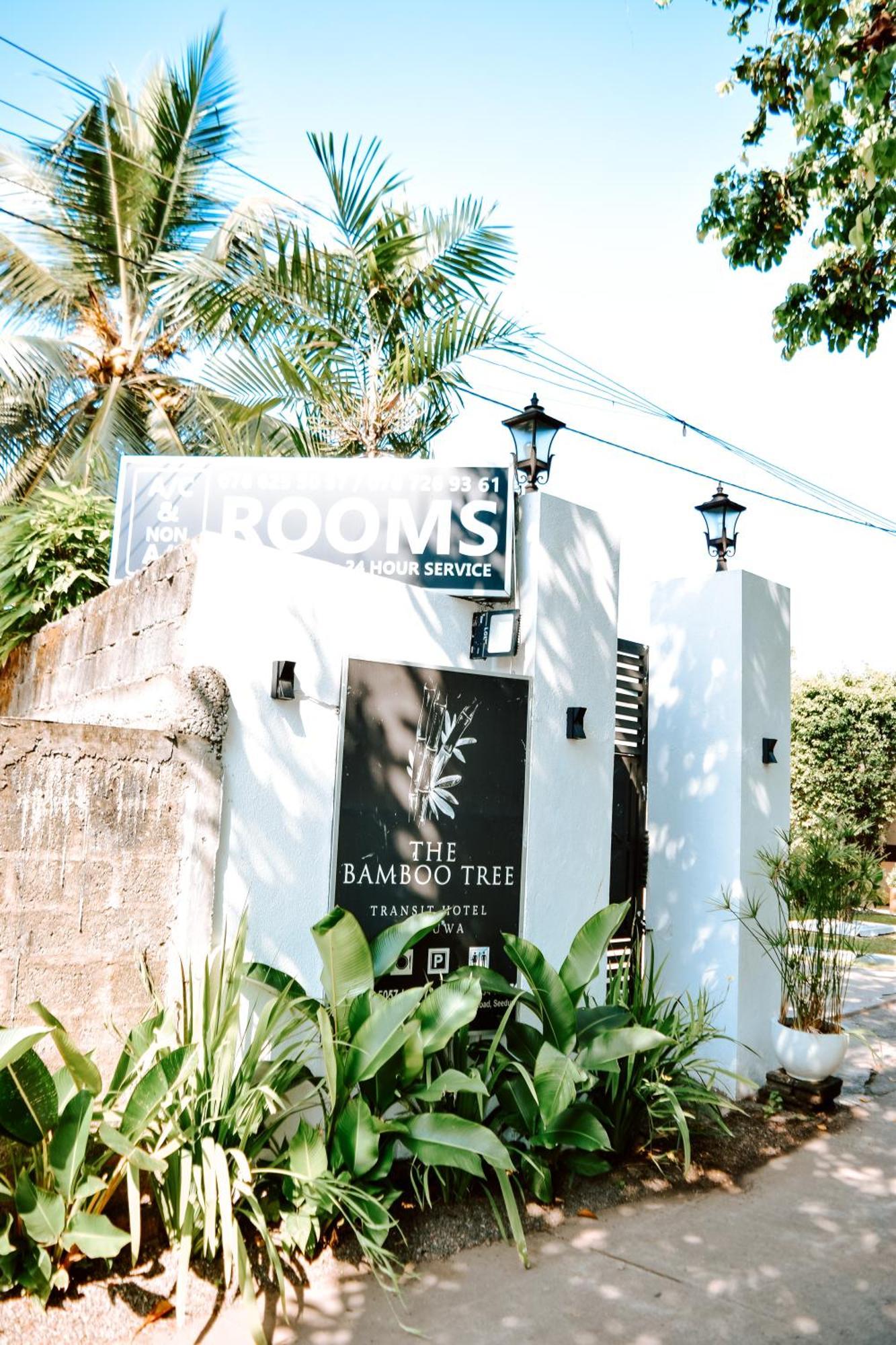 The Bamboo Tree Transit Hotel كاتوناياكى المظهر الخارجي الصورة